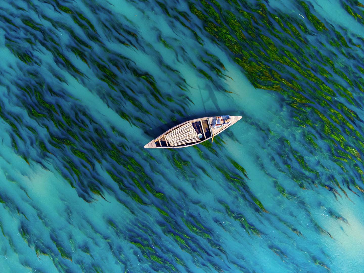 © Bipul Ahmed, Bangladesh, entry, Open Competition, Travel, 2026 Sony World Photography Awards