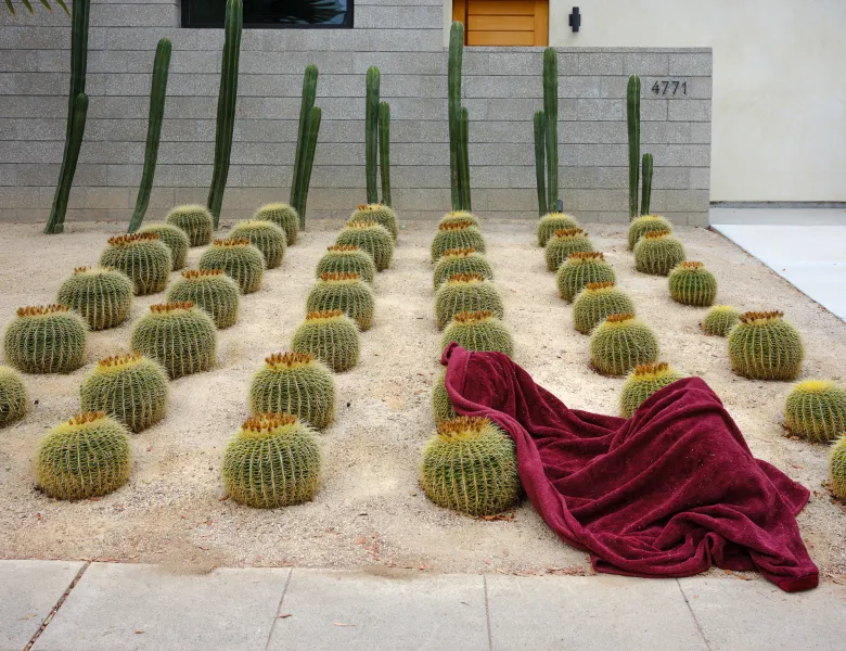 © John Barnard, United States, entry, Open Competition, Object, 2026 Sony World Photography Awards