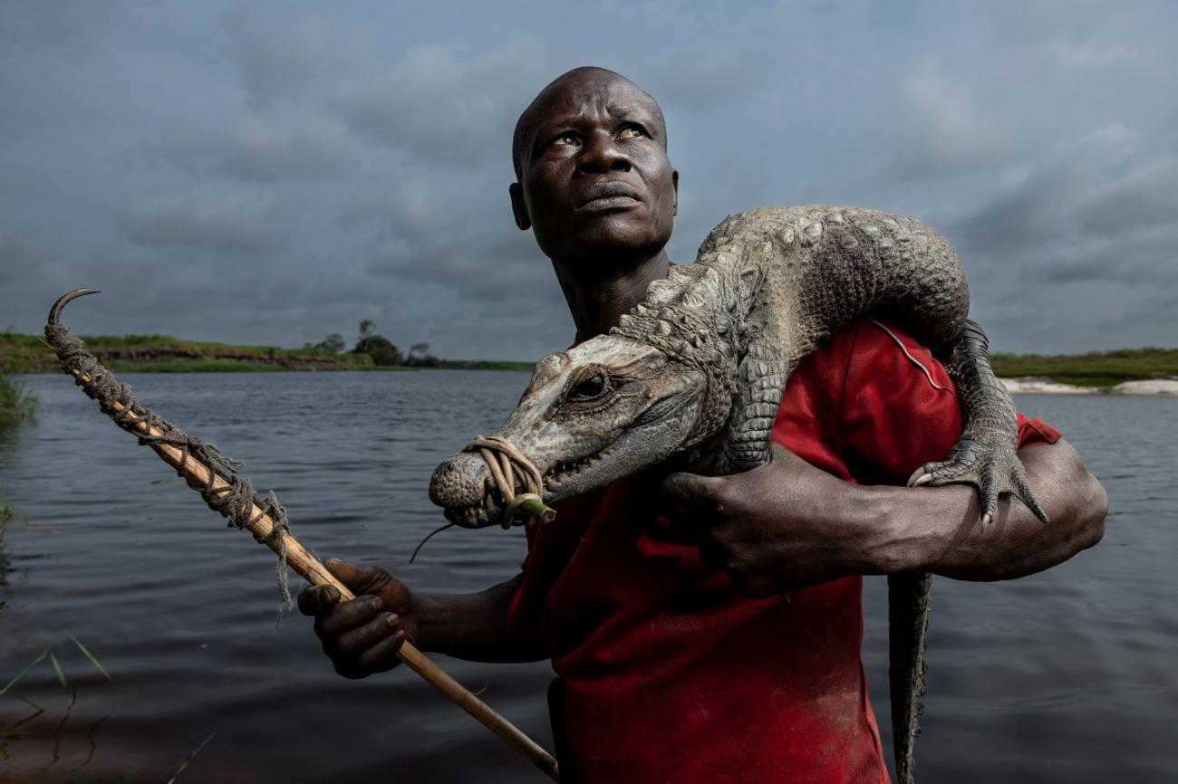 © Thomas Nicolon, France, Shortlist, Professional competition, Wildlife & Nature, Sony World Photography Awards 2025