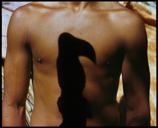 What’s Remembered, Lives